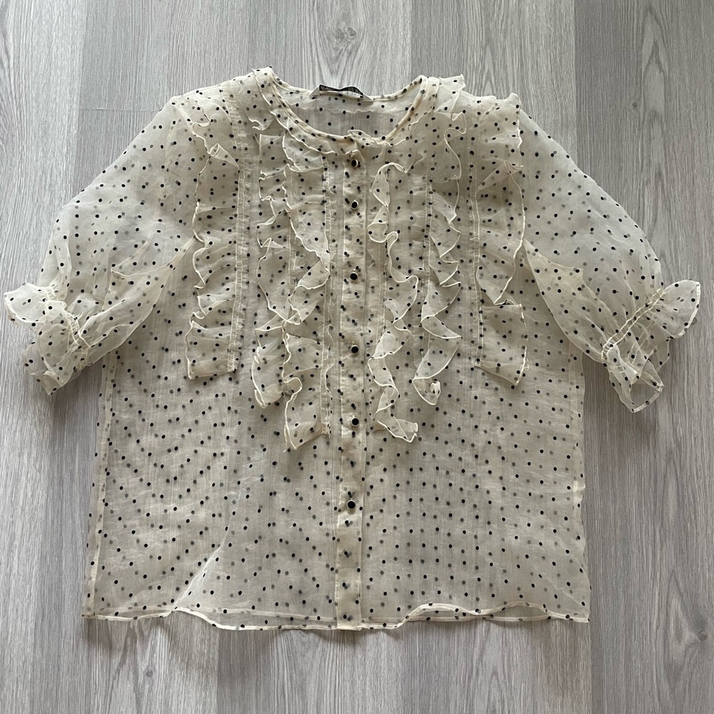 Zara Sheer Polka Dot Organza Blouse